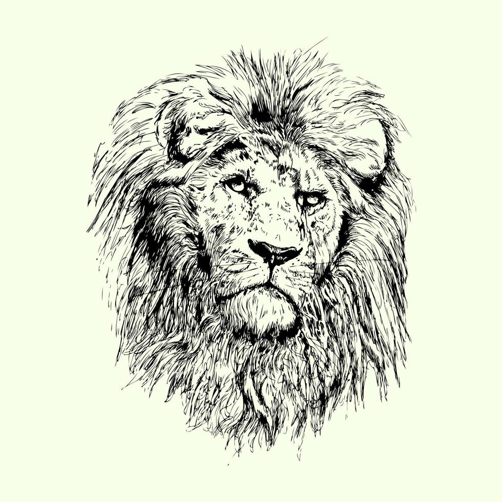 Lion hand drawn vector black