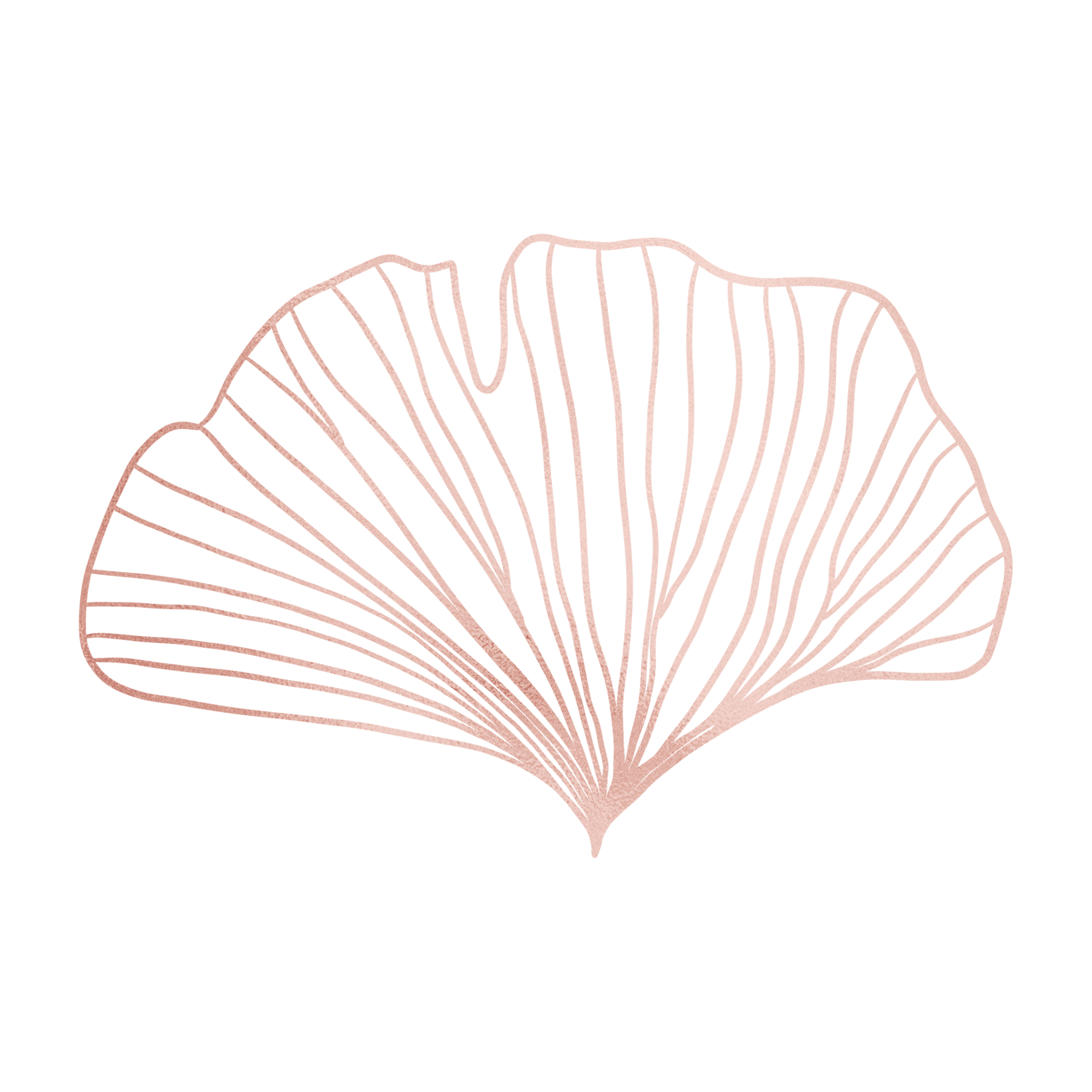 Rose Gold Metallic Leaf Outlined 13214713 PNG