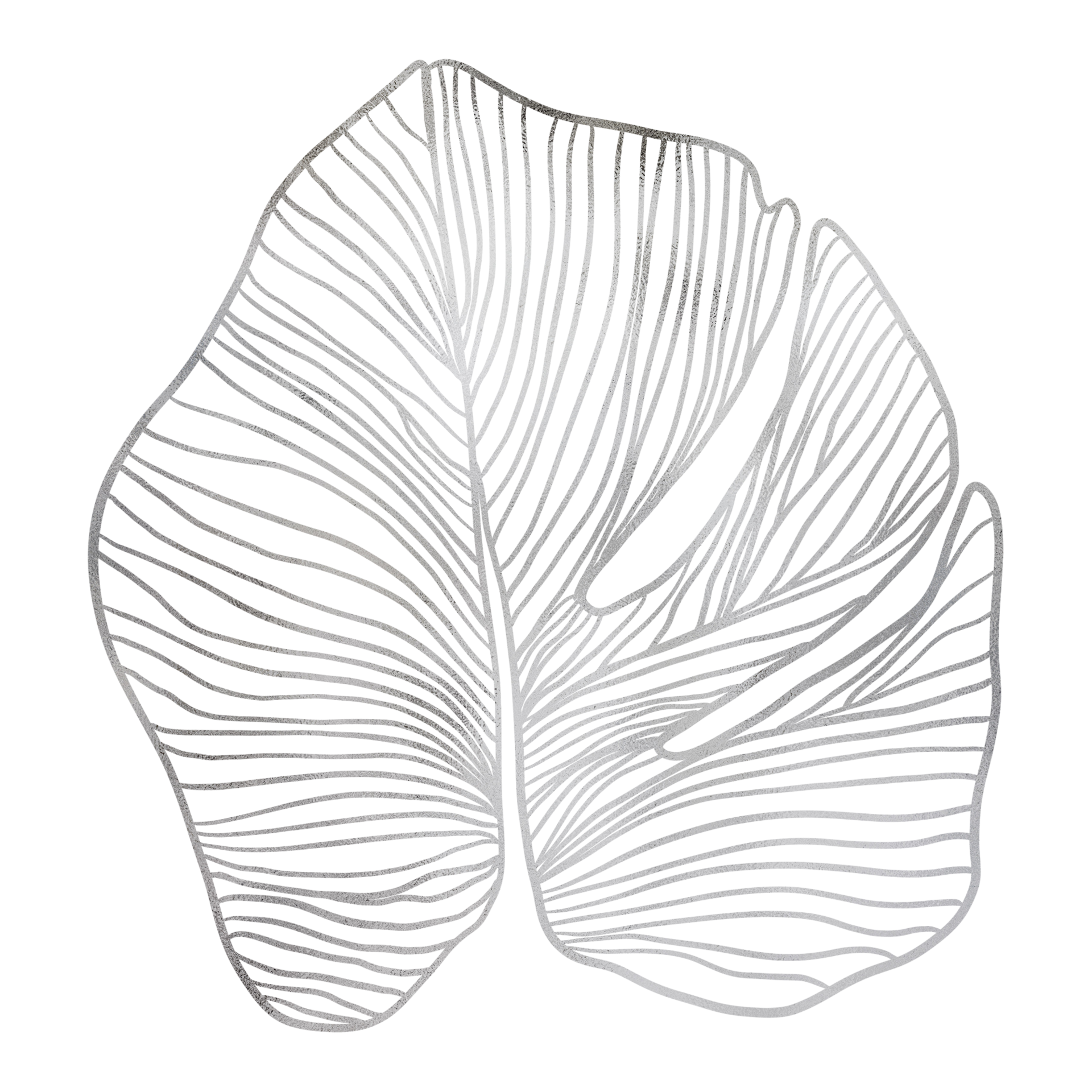 Silver Leaf Outlined 13214740 PNG