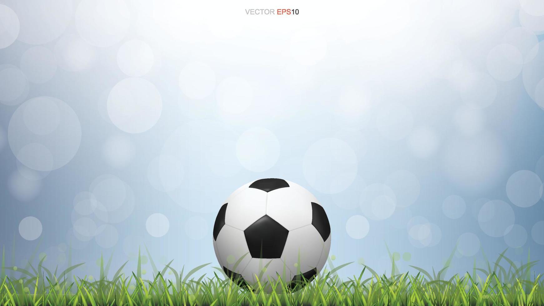 Soccer football ball on green grass field with light blurred bokeh background. Vector. vector