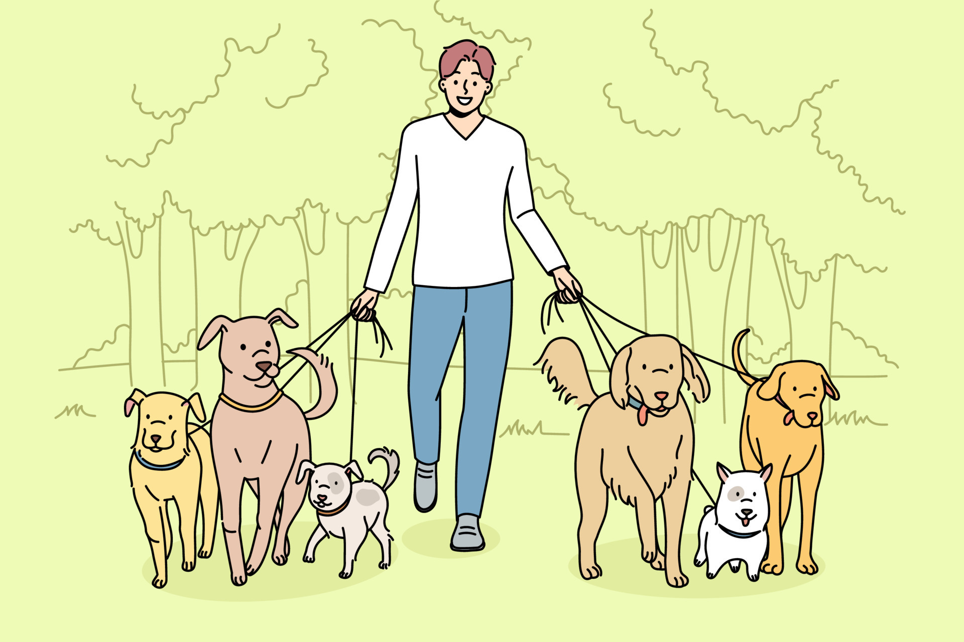 Smiling man walking dogs on leashes in park. Happy male walker provide professional pet walk service. Domestic animals care concept. Flat vector illustration. 13215256 Vector Art at Vecteezy Smiling man walking dogs on leashes in park. Happy male walker provide professional pet walk service. Domestic animals care concept. Flat vector illustration. 13215256 Vector Art at Vecteezy