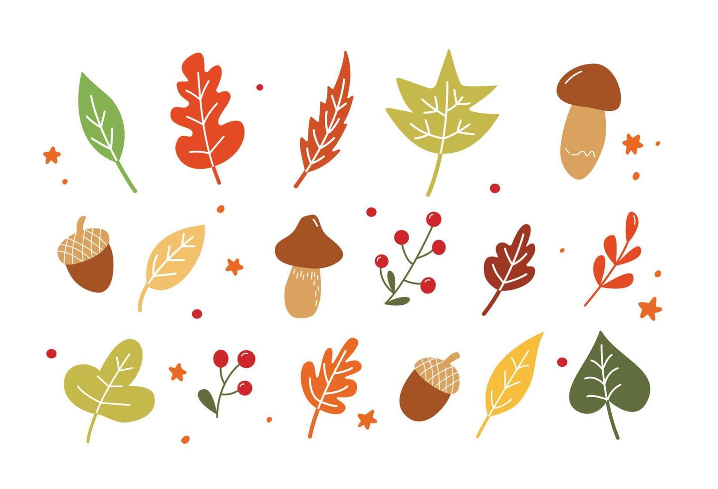 Fall leaves set. Vector Autumn Thanksgiving elements on white background.