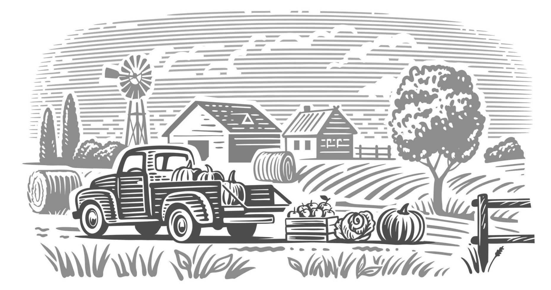 Pickup truck with vegetables in village. vector