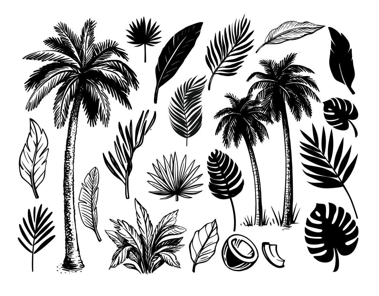 conjunto de hojas tropicales y palmeras. vector