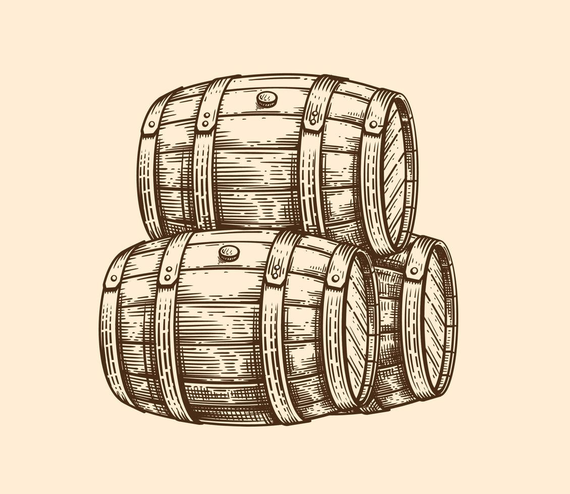 Engraving wine beer barrel. vector