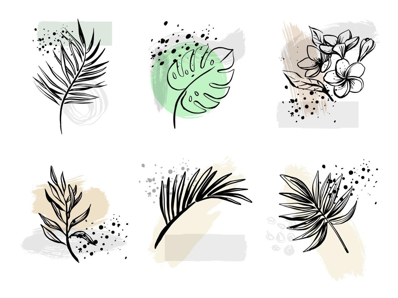 Set tropical leaves of various plants hand drawn. vector