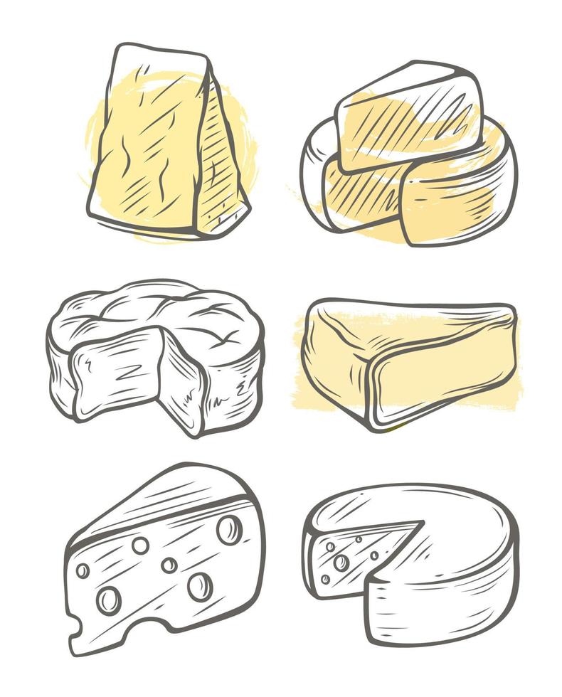 Sketch cheese. Various types of cheeses. vector