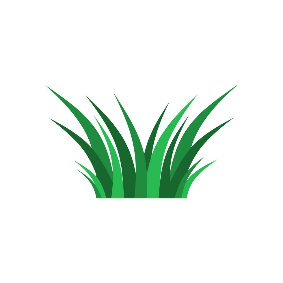 Green grass isolated on white background vector