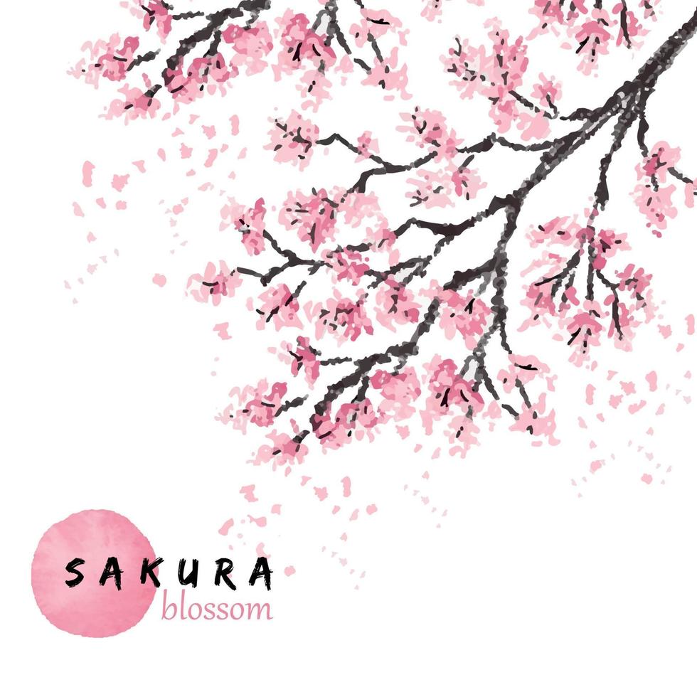 rama de cerezo de sakura japón con flores florecientes ilustración vectorial. estilo dibujado a mano. vector