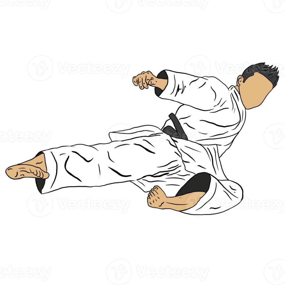 karate icoon illustratie png