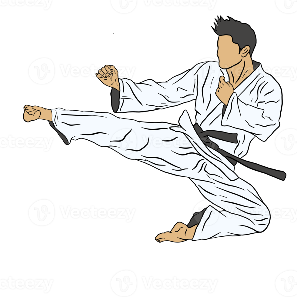 ilustración del icono de karate png