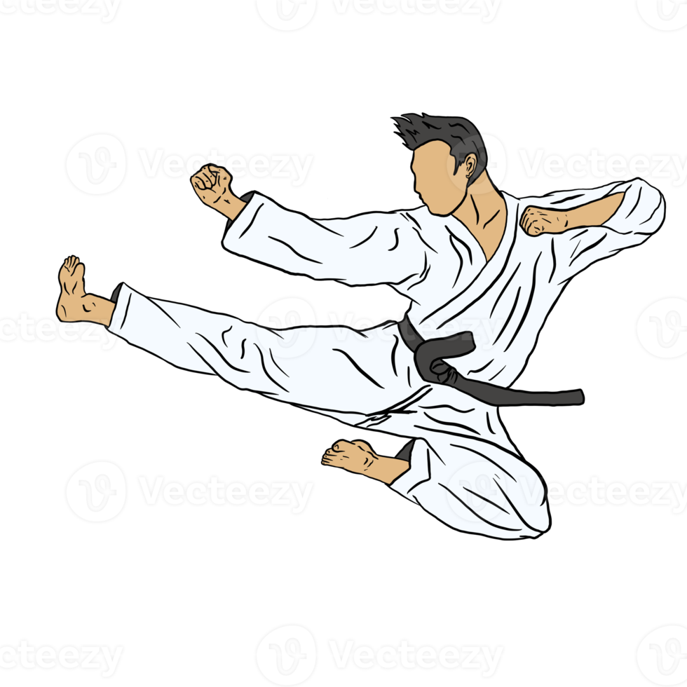 ilustración del icono de karate png