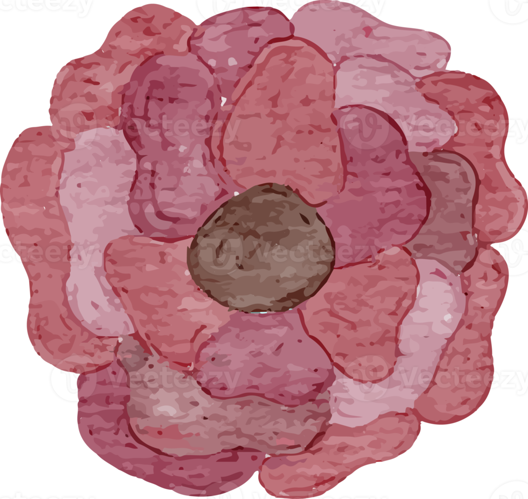 rosa petali acquerello clip arte png
