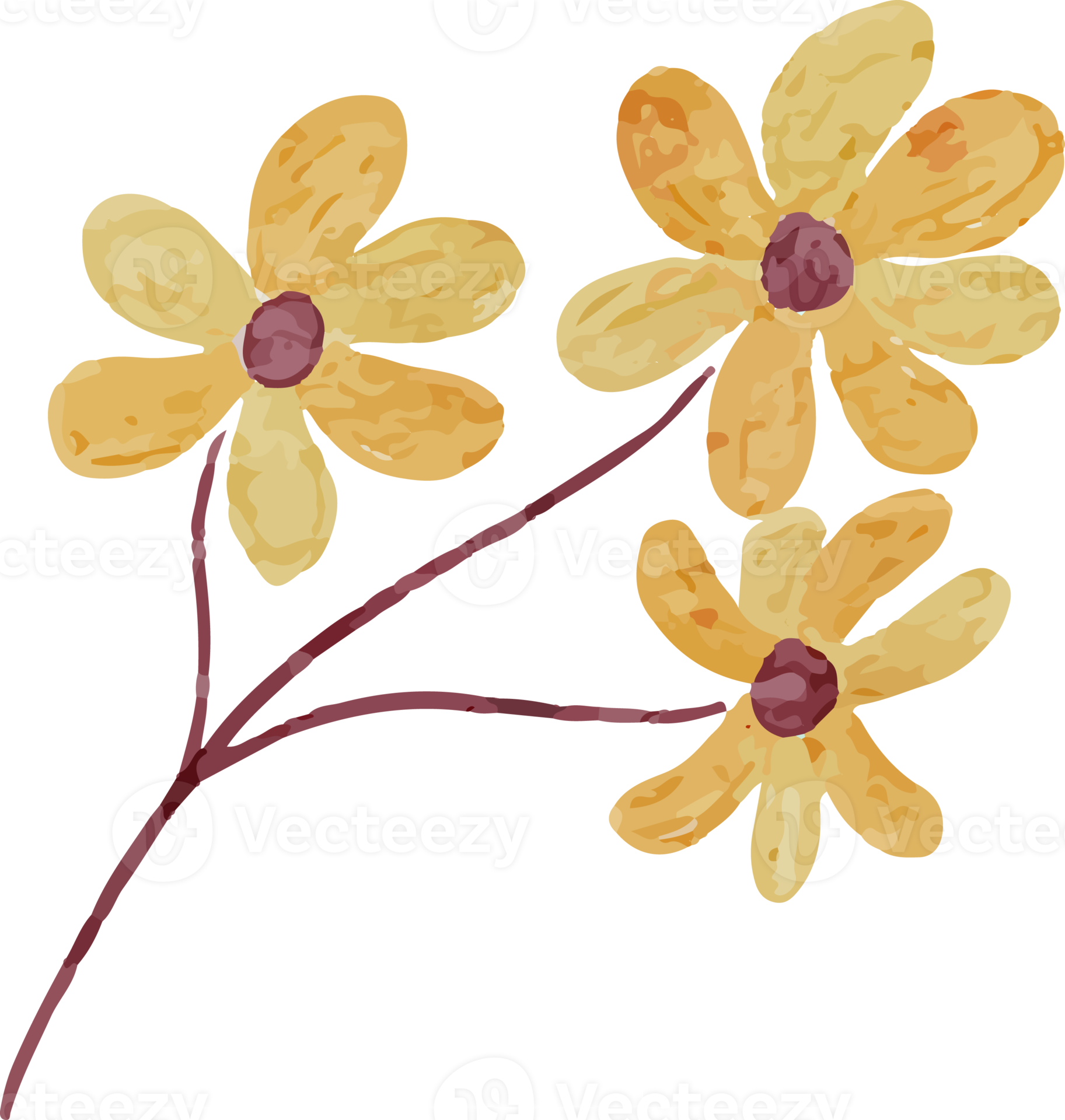 Flower Watercolor Clip Art 13217691 PNG