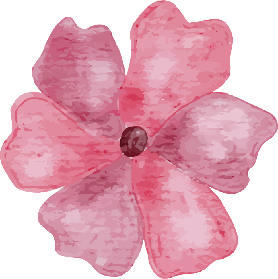 clipart de aquarela de flor rosa png