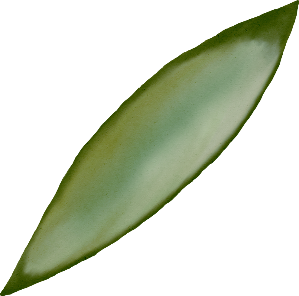 feuille verte aquarelle png