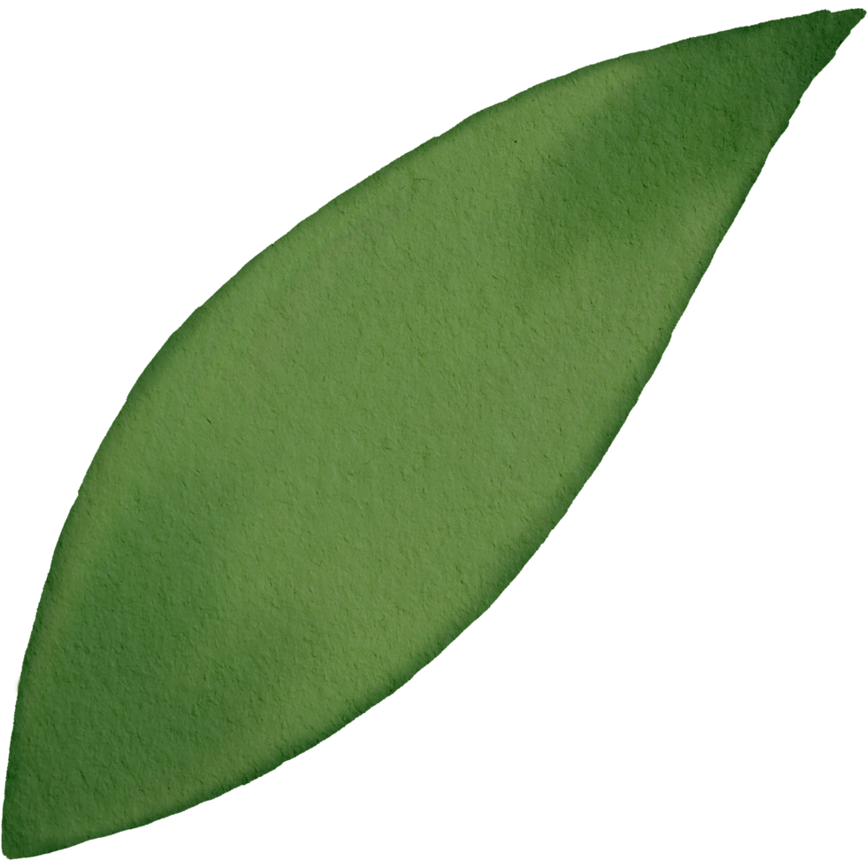 acquerello verde foglia png