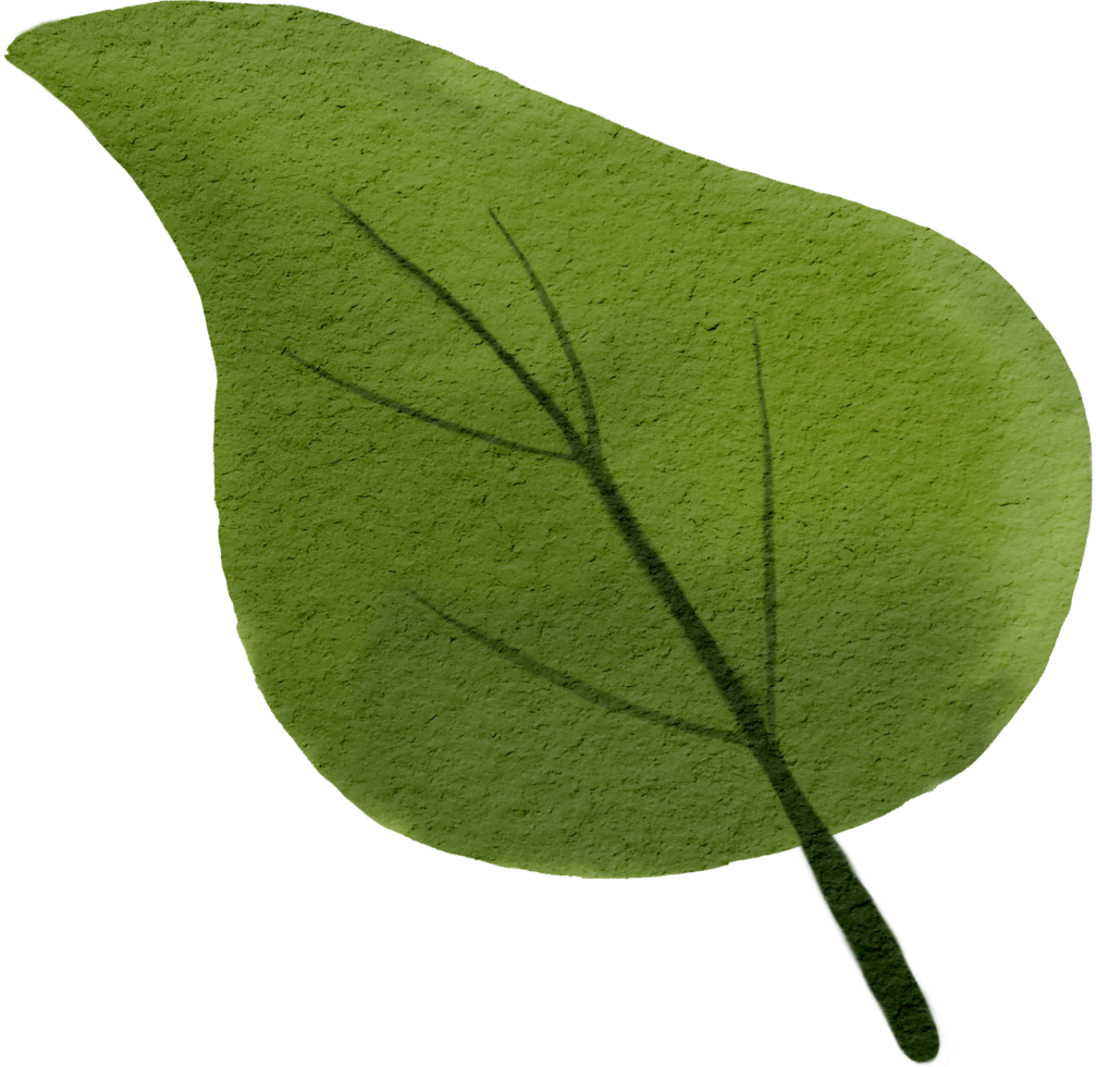 waterverf groen blad png