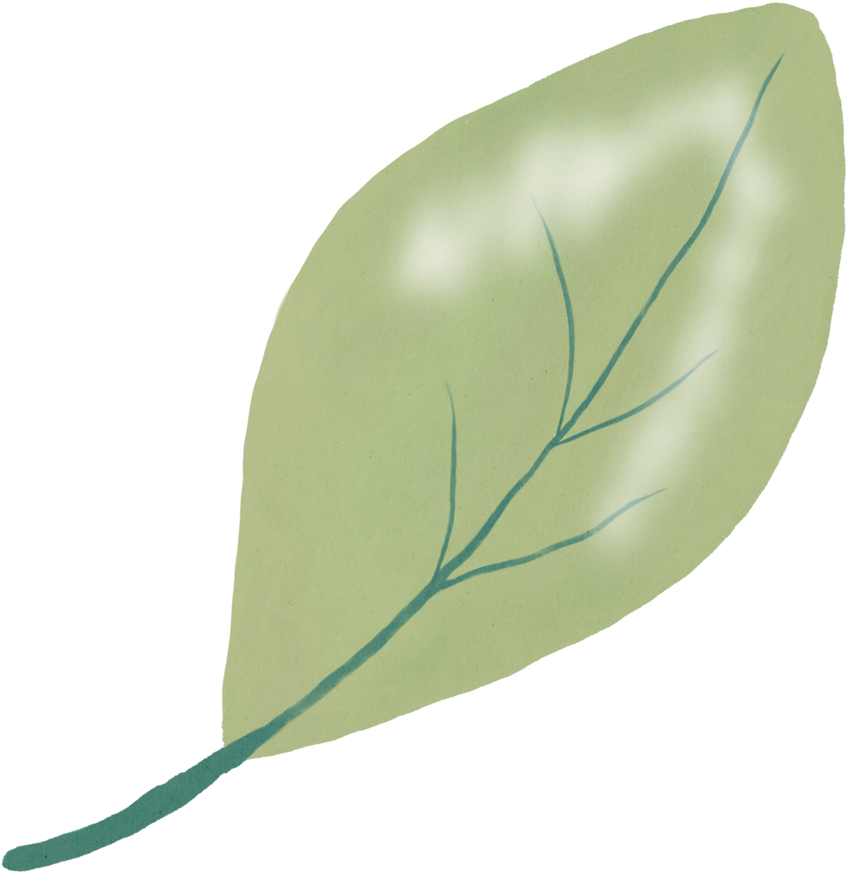 watercolour green leaf png