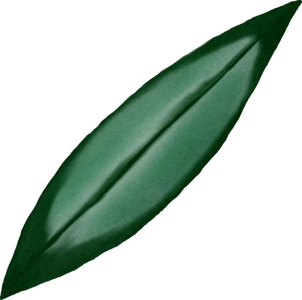 vattenfärg grön blad png