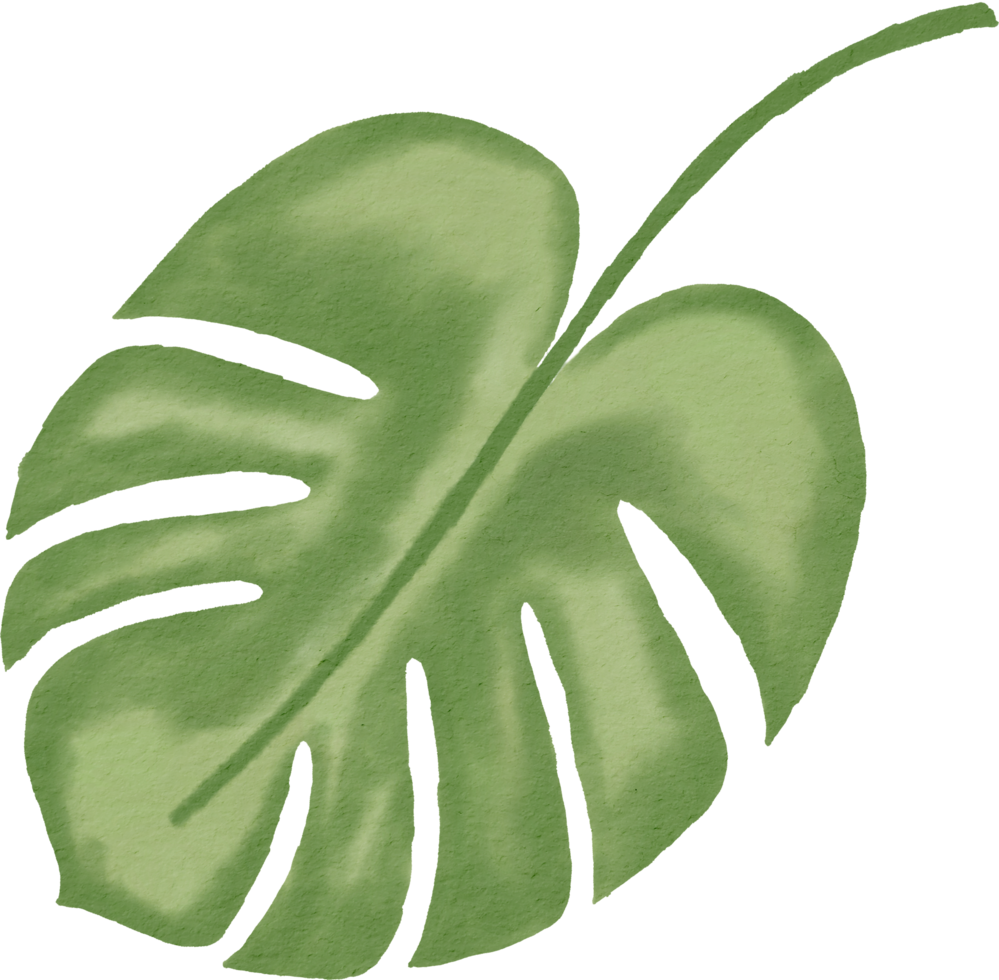 watercolour green leaf png