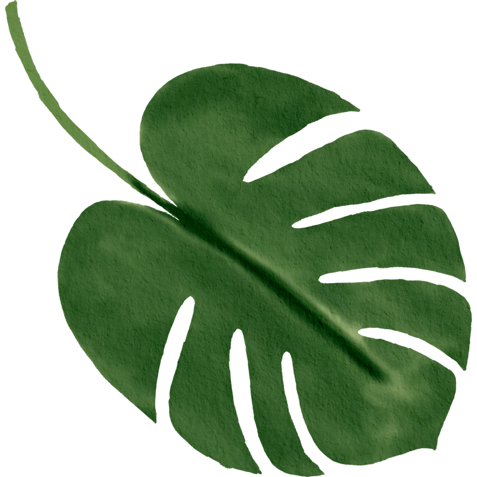 watercolour green leaf png