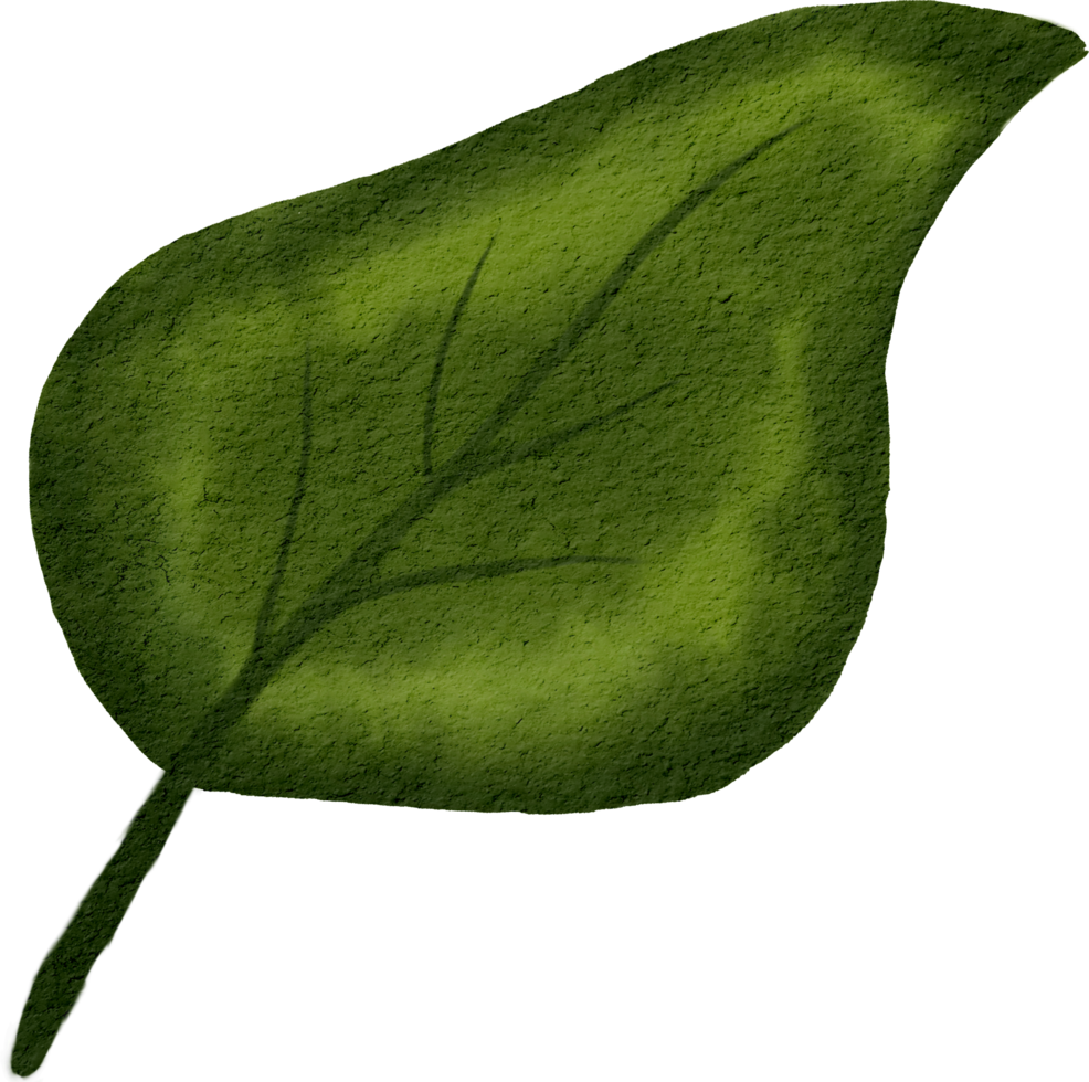 acquerello verde foglia png