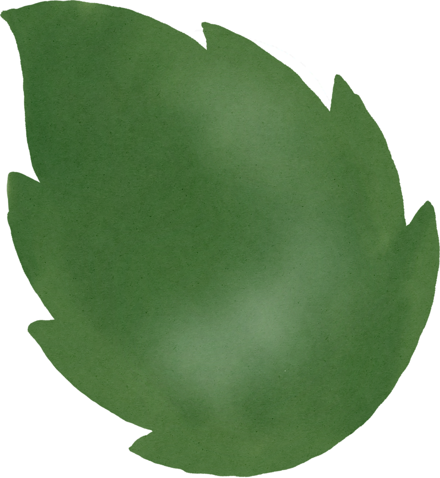 watercolour green leaf png