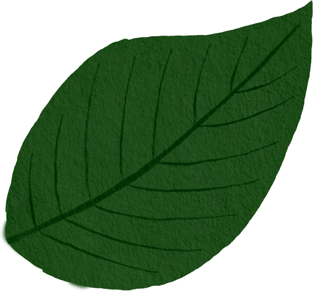 watercolour green leaf png