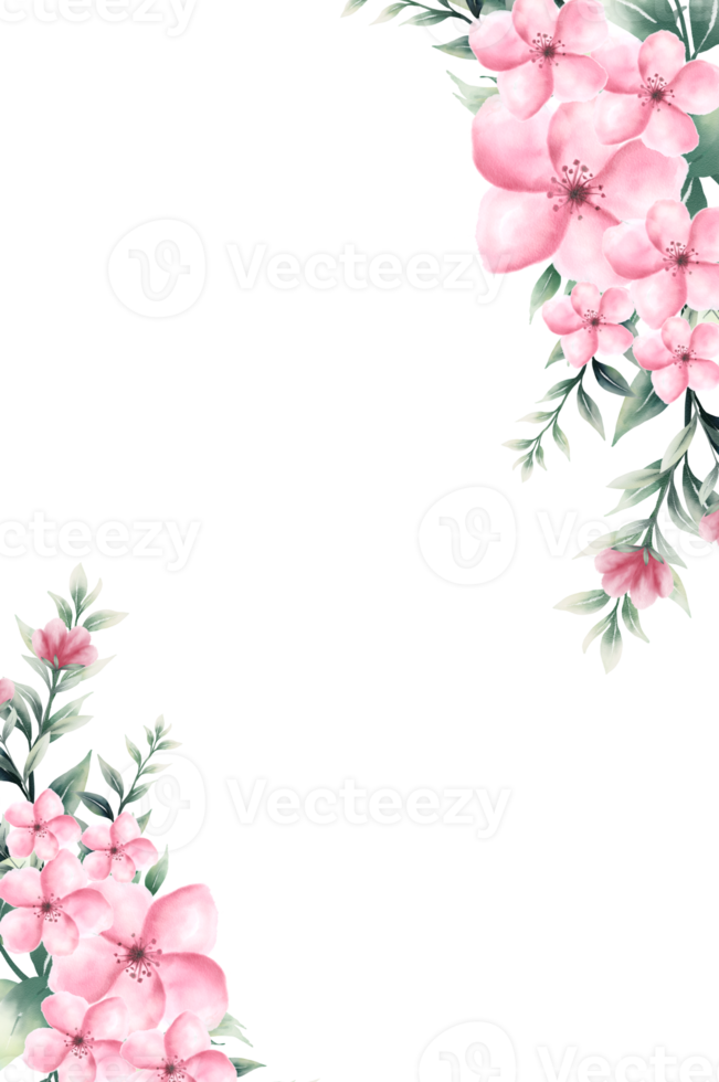 acquerello rosa fiore telaio png