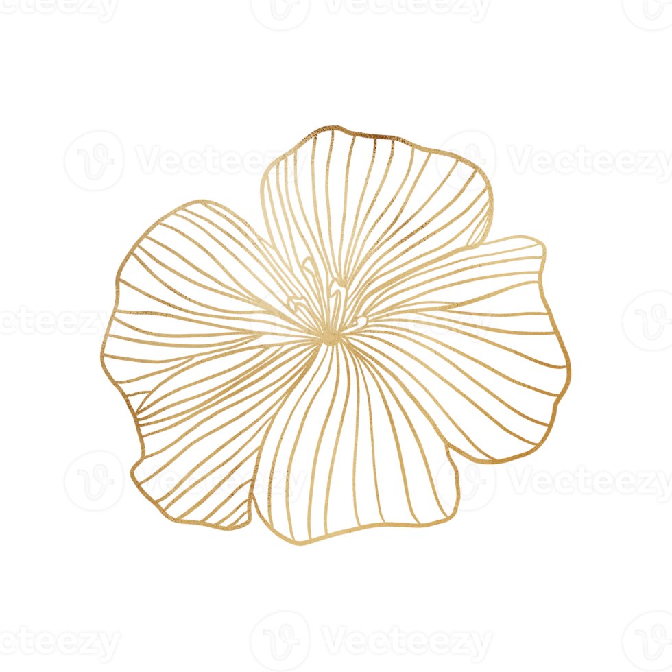 Gold Metallic Flower Outlined png