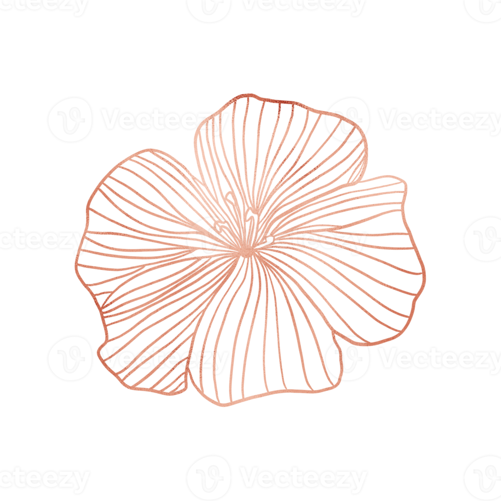 Blooming Flower Copper Metallic Outlined png