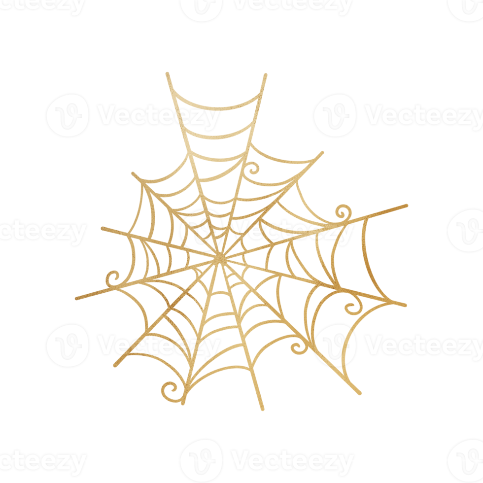 Golden Metallic Spider Web png