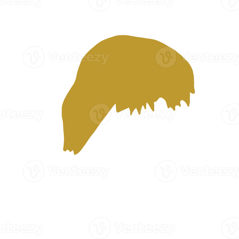 Golden Santa Hat png