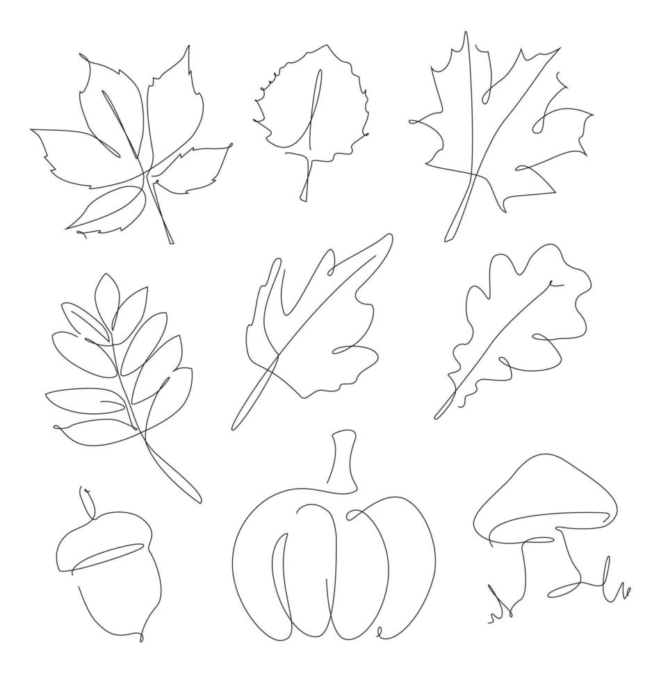 Forest leaves, pumpkin, acorn unomed one line set. Autumn leaf linear collection. Simple outline forest elements. vector