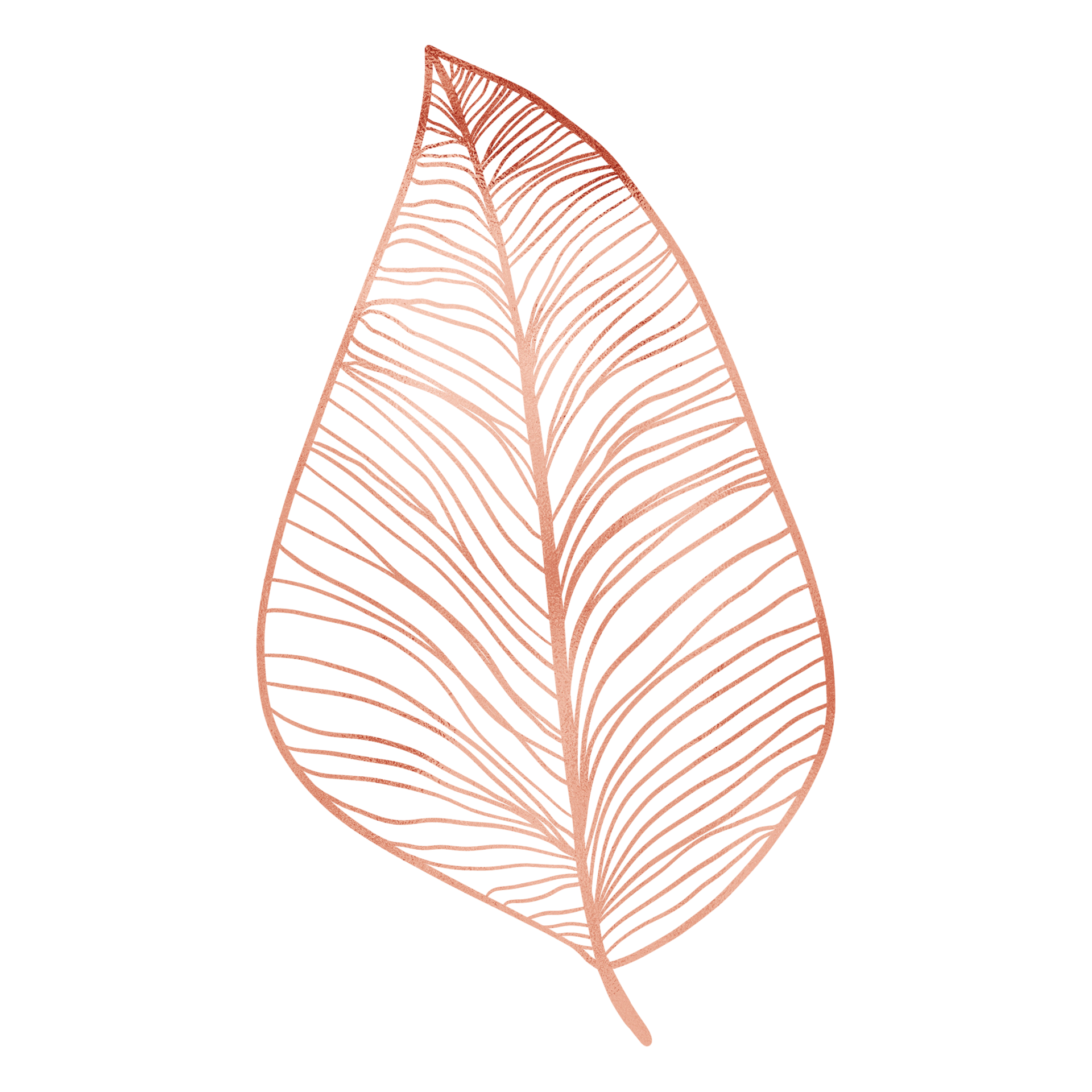 Copper Metallic Leaf 13220151 PNG