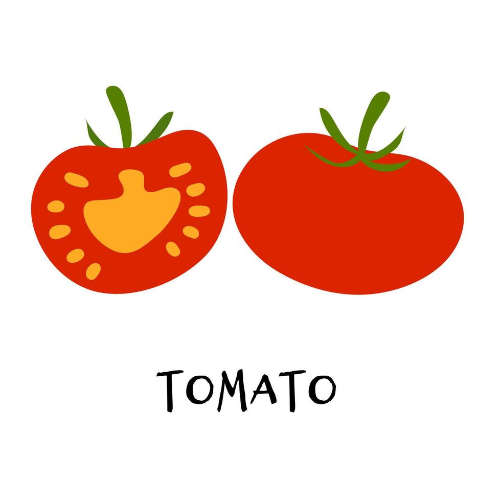 Vector illustration of ripe red tomato in hand drawn flat style.