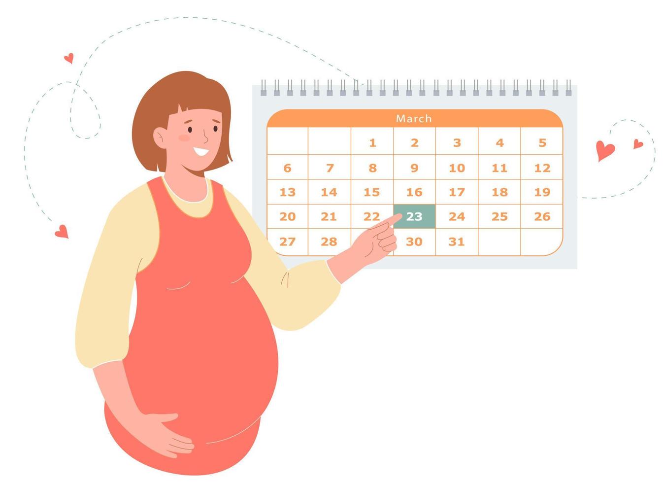 Cute pregnant girl   stands by the monthly planner calendar. Woman points to the calendar with her hand. Date of delivery or doctor's visit vector