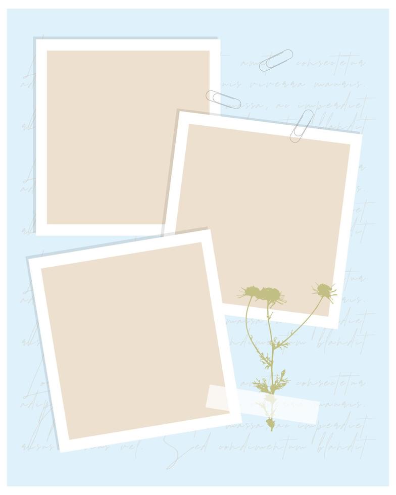 Vintage collage template for photo book, reminders, social media, notes, to do list. Scrapbooking herbarium chamomile. vector