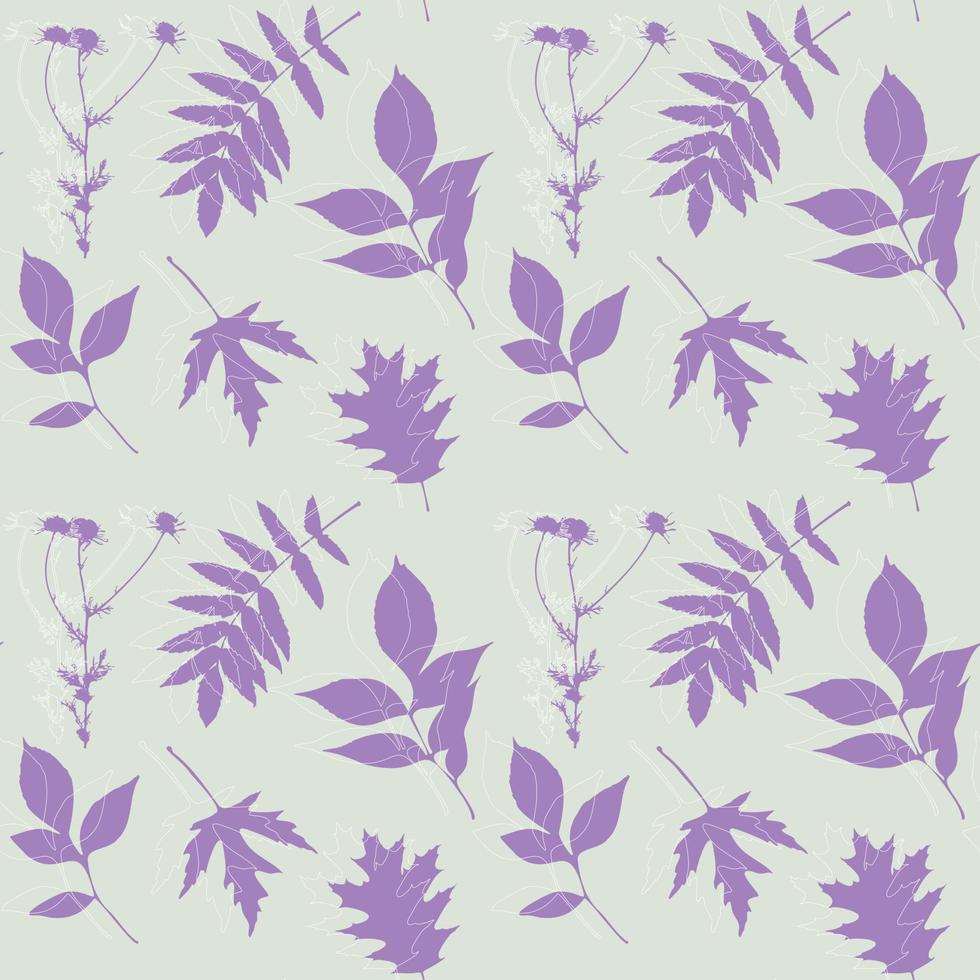 Camomile and leaves silhouette, violet pastel color, pattern. Stamp, imprint, herbarium, vintage. vector