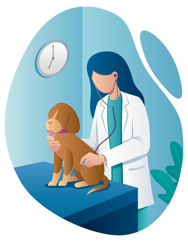 veterinario y perro vector