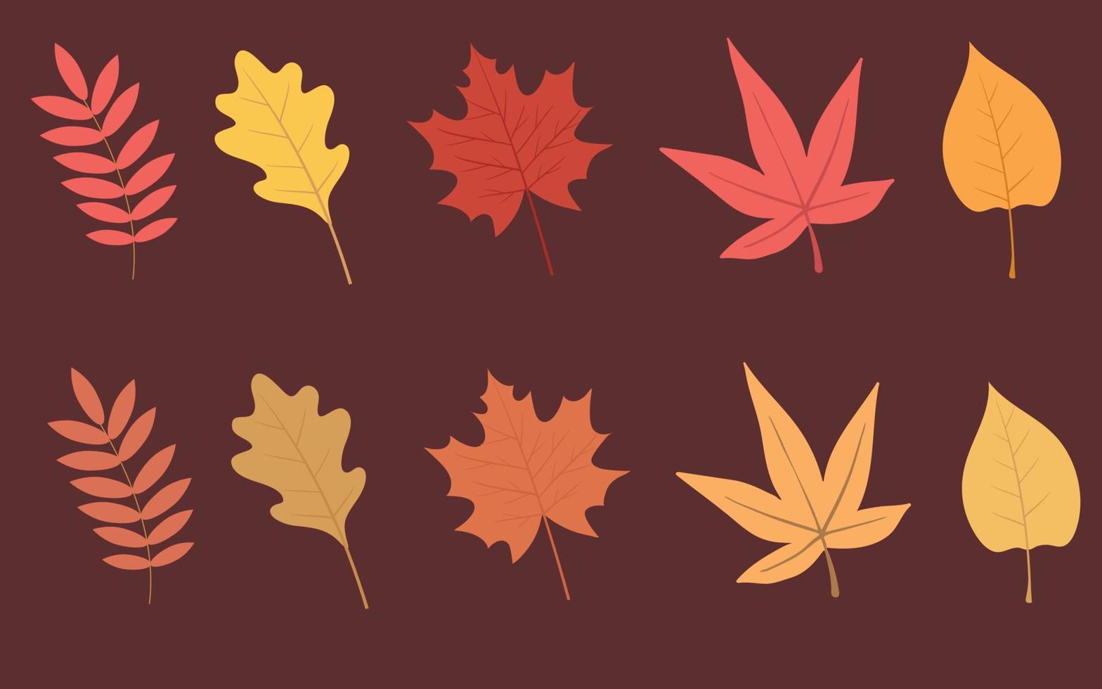 Set of colorful autumn leaves. Vector illustration.