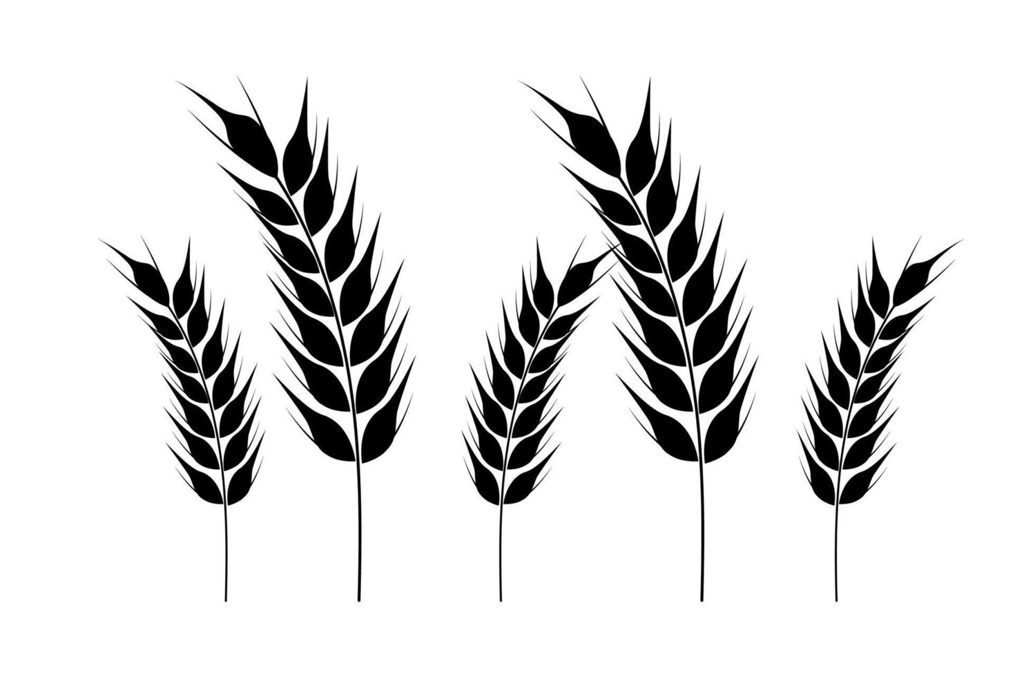 Wheat icon. Collection of wheat spikelets. Agricultural symbol, flour production. Vector silhouettes of wheat. Illustration on a white background.