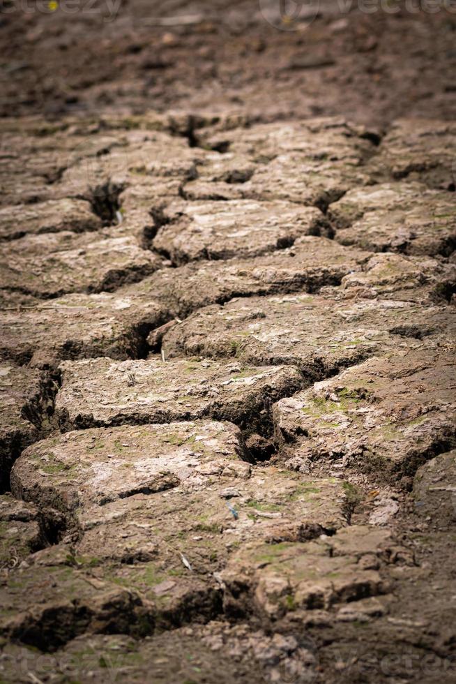 Soil cracked background.Land in dry season. photo