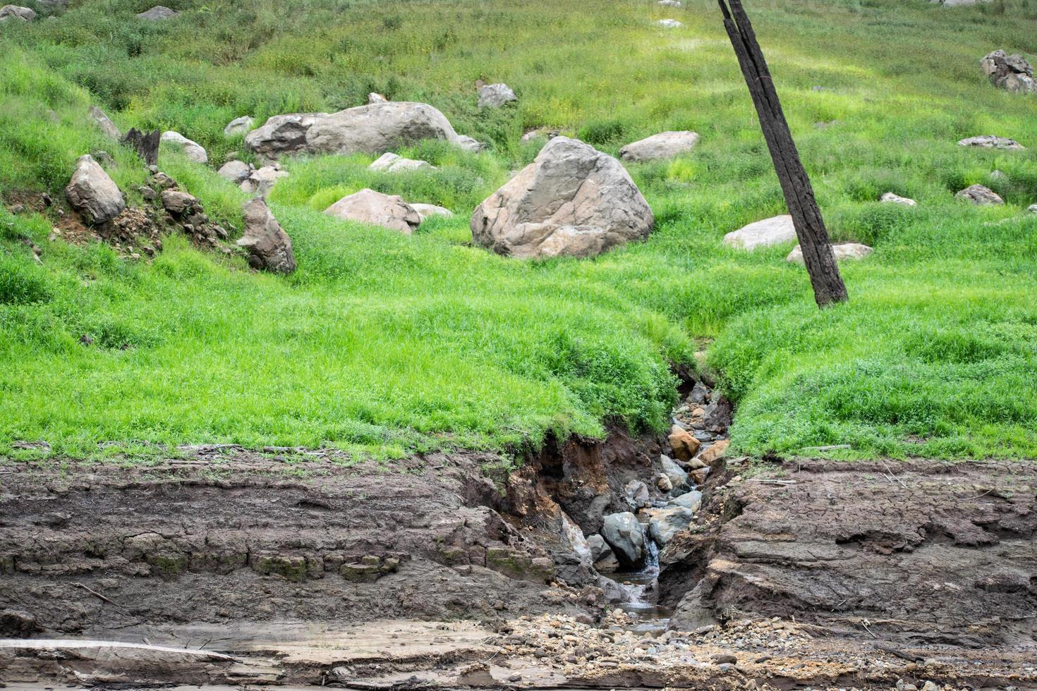 corriente de agua en el bosque, pequeña caída de agua en primavera. foto