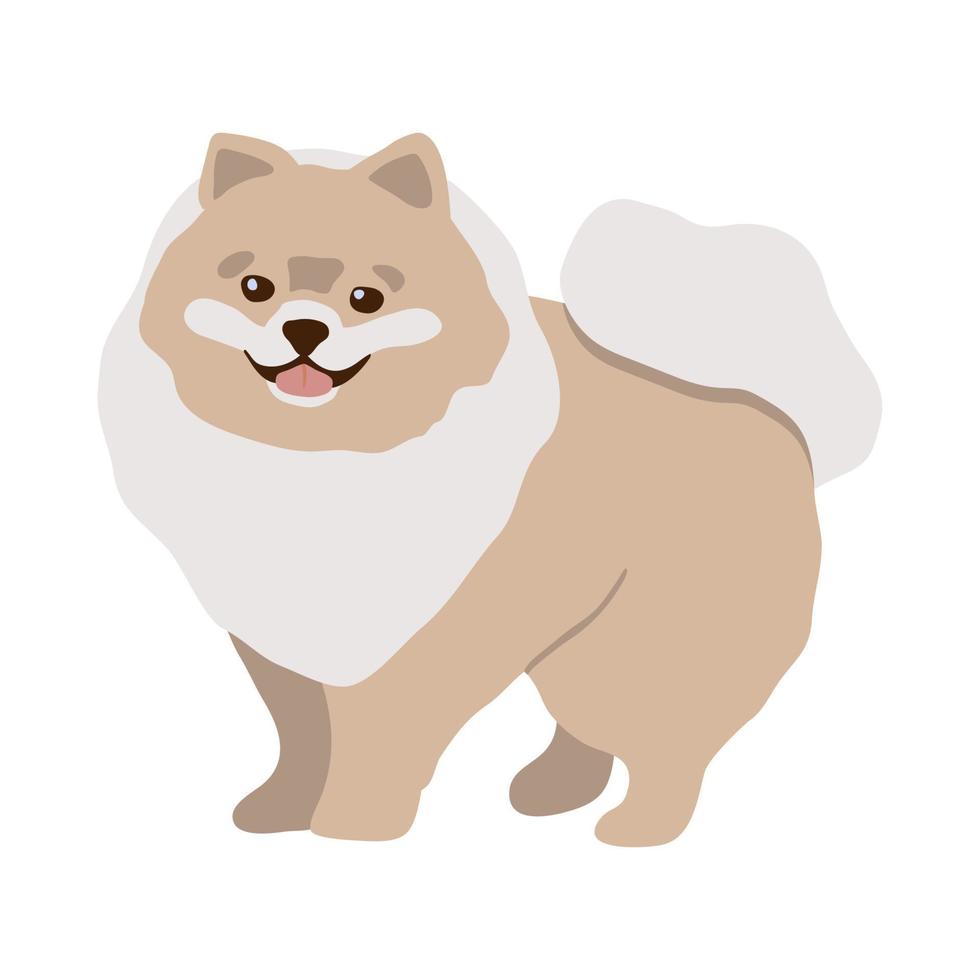 cachorro de dibujos animados feliz pomeranian. perro mono. ilustración plana vectorial aislada sobre fondo blanco. vector