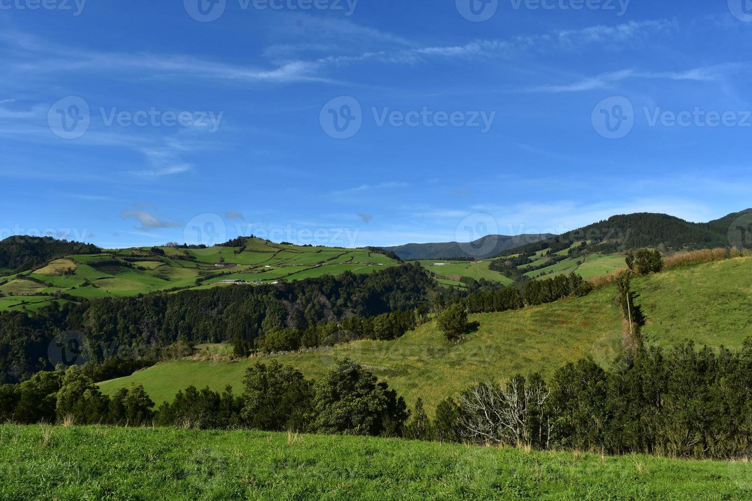 Lovely Fields and Pastures on a Spring Day in the Azores photo