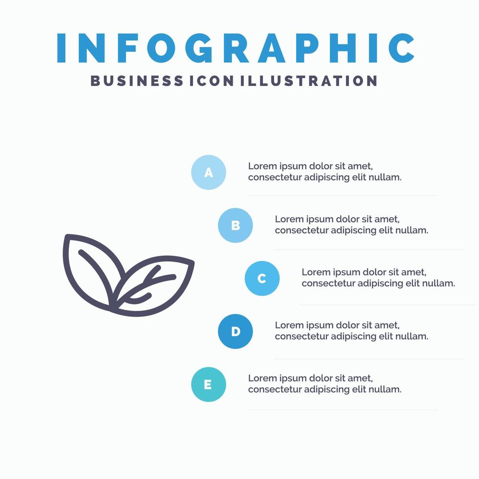 Growth Leaf Plant Spring Line icon with 5 steps presentation infographics Background vector