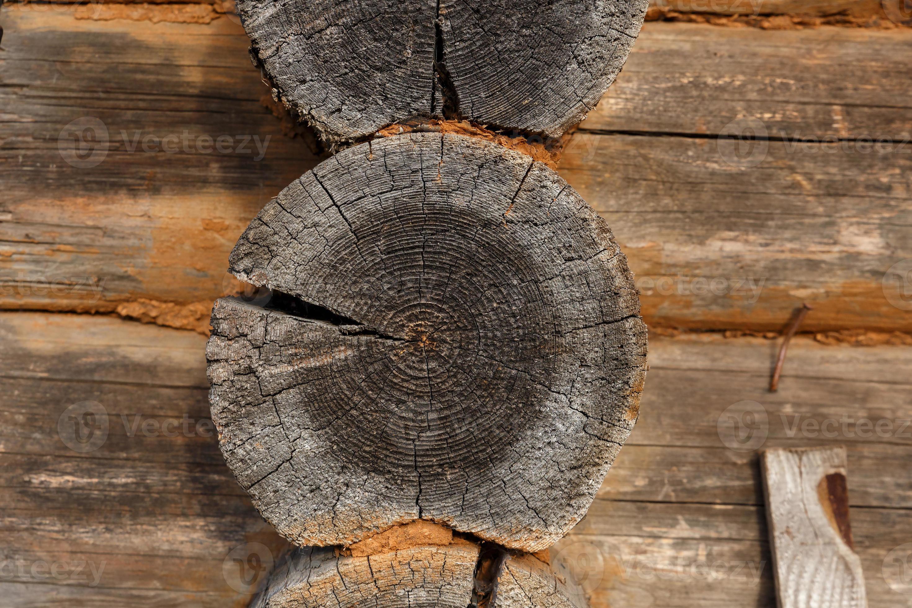 Wooden wall of logs. Old cut logs. Texture wood. 13226645 Stock Photo