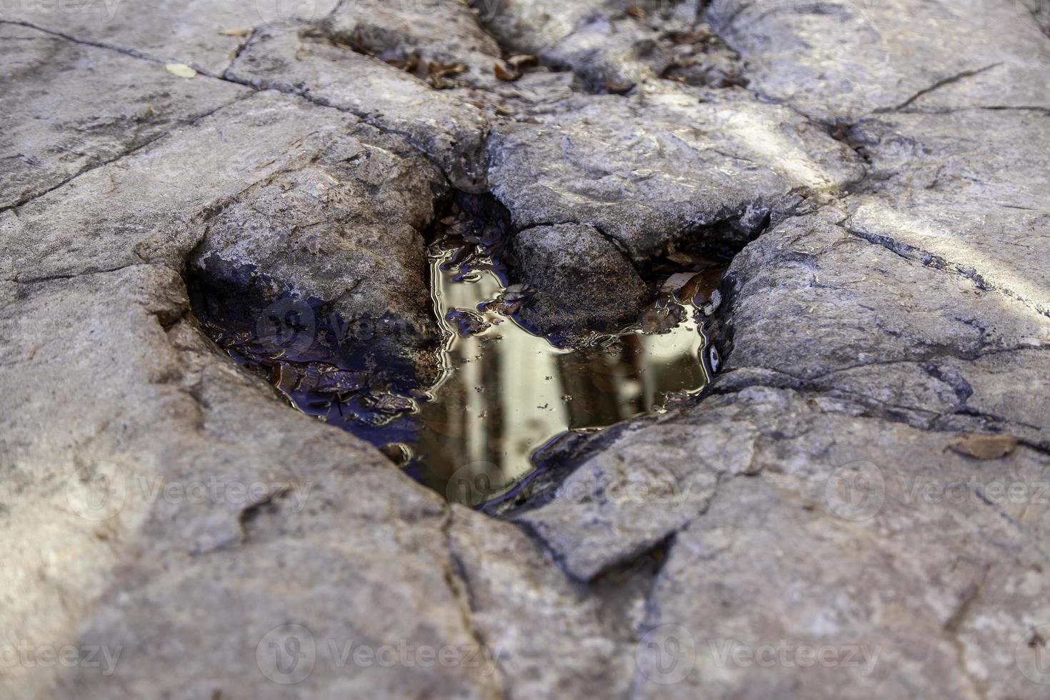 Ancient dinosaur footprints photo